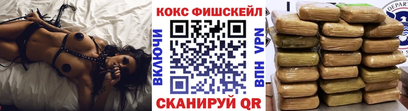 Купить закладки  Красный Холм  Cocaine Fish Scale 