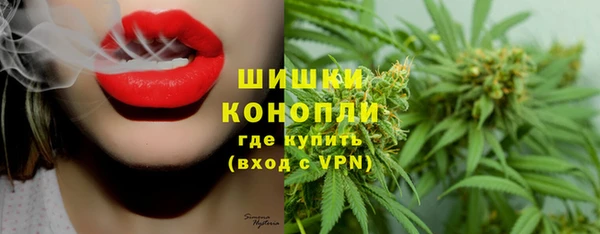 сатива Арсеньев
