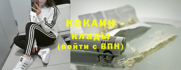 ПСИЛОЦИБИНОВЫЕ ГРИБЫ Аркадак