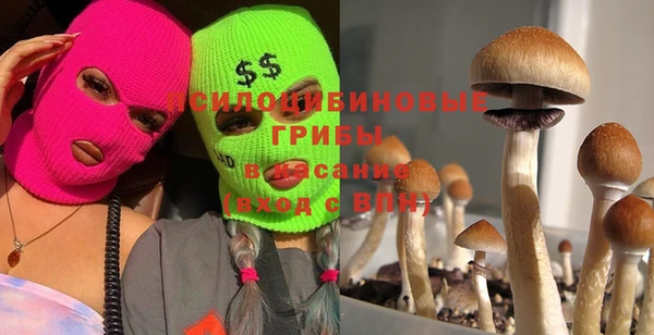 сатива Арсеньев
