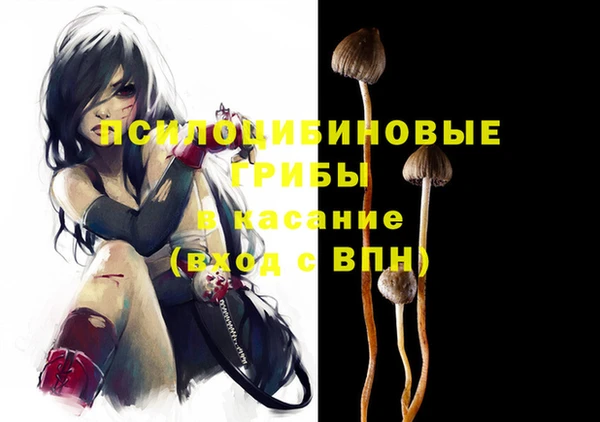 ПСИЛОЦИБИНОВЫЕ ГРИБЫ Аркадак
