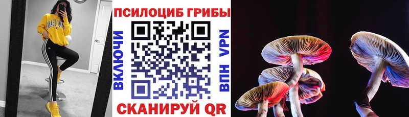 Галлюциногенные грибы мухоморы Красный Холм